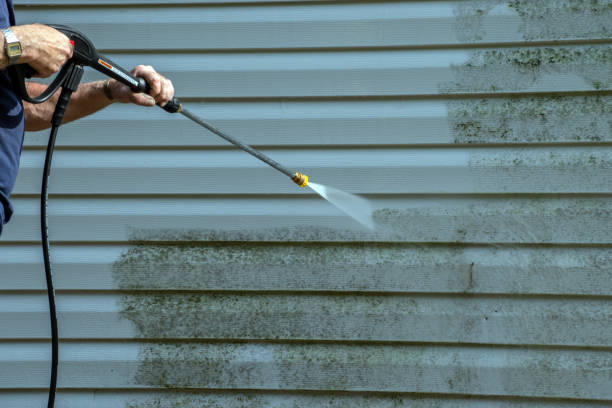 Best Graffiti Removal  in South Boston, VA